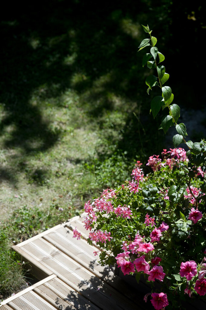 Fleurs de jardin en pleine floraison près d'une terrasse en bois.